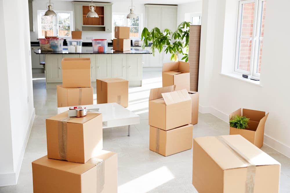 Best Commercial Moving Services